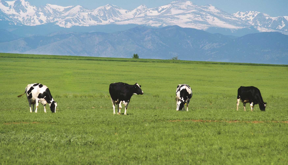 En la actualidad, Aurora Organic Dairy es el productor y procesador lder de leche y manteca orgnicas de marcas blancas para los minoristas de EE UU...