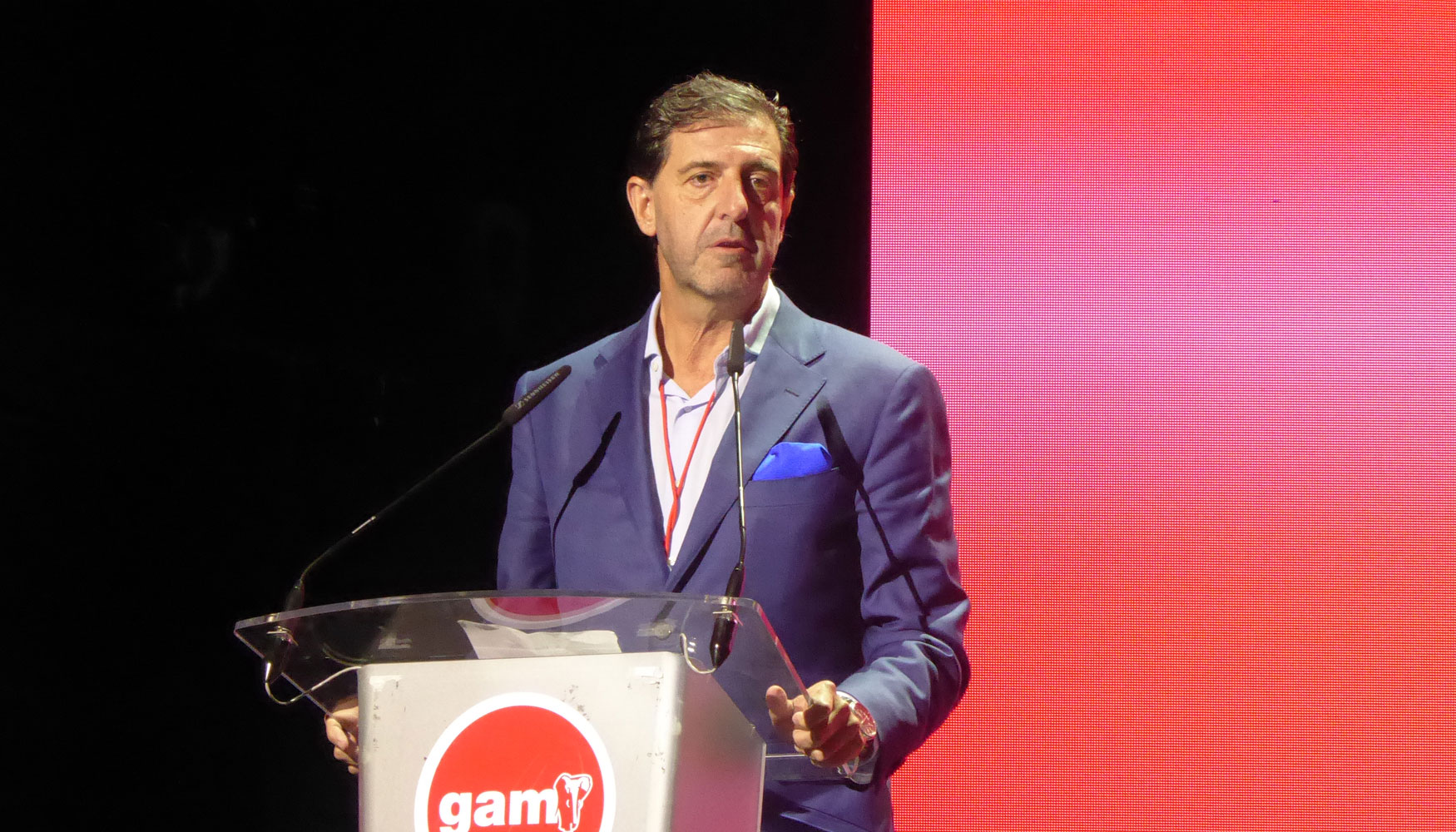 Pedro Luis Fernndez, CEO de GAM
