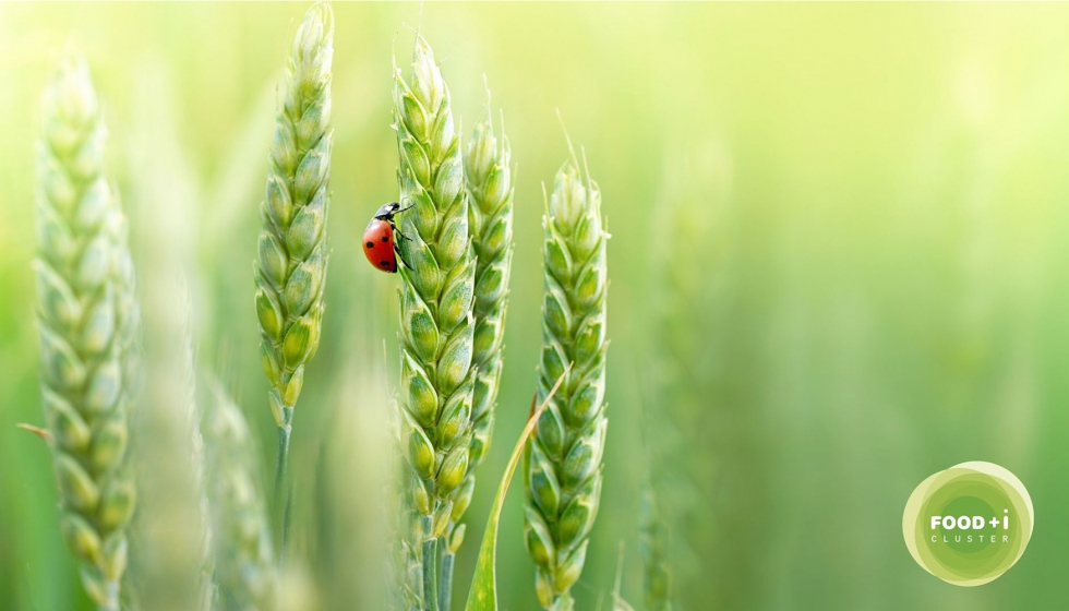 FOOD+i se posiciona como el �nico cl�ster alimentario espa�ol de referencia en el campo de la bioeconom�a incluido en el mapa interactivo que ha...
