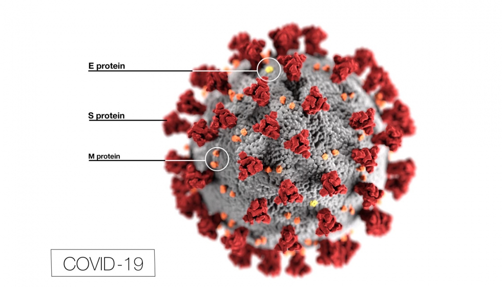 4. Esta ilustracin muestra la morfologa ultraestructural exhibida por los coronavirus...