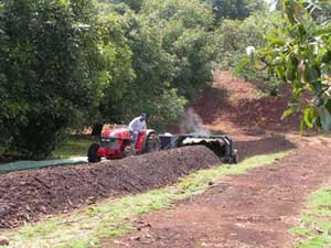 Organic composting to fair trade in Mexico...