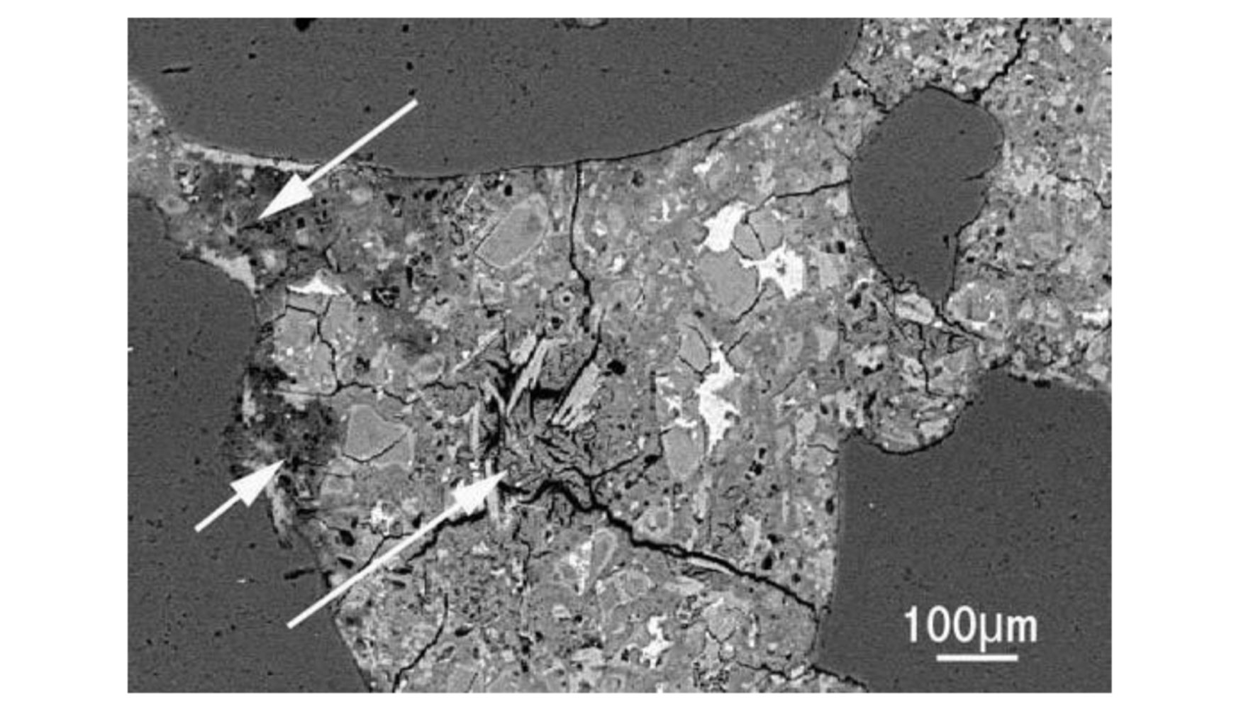 Figura 3: Imagen a travs de microscopio electrnico de barrido del ataque de sulfato en el hormign...