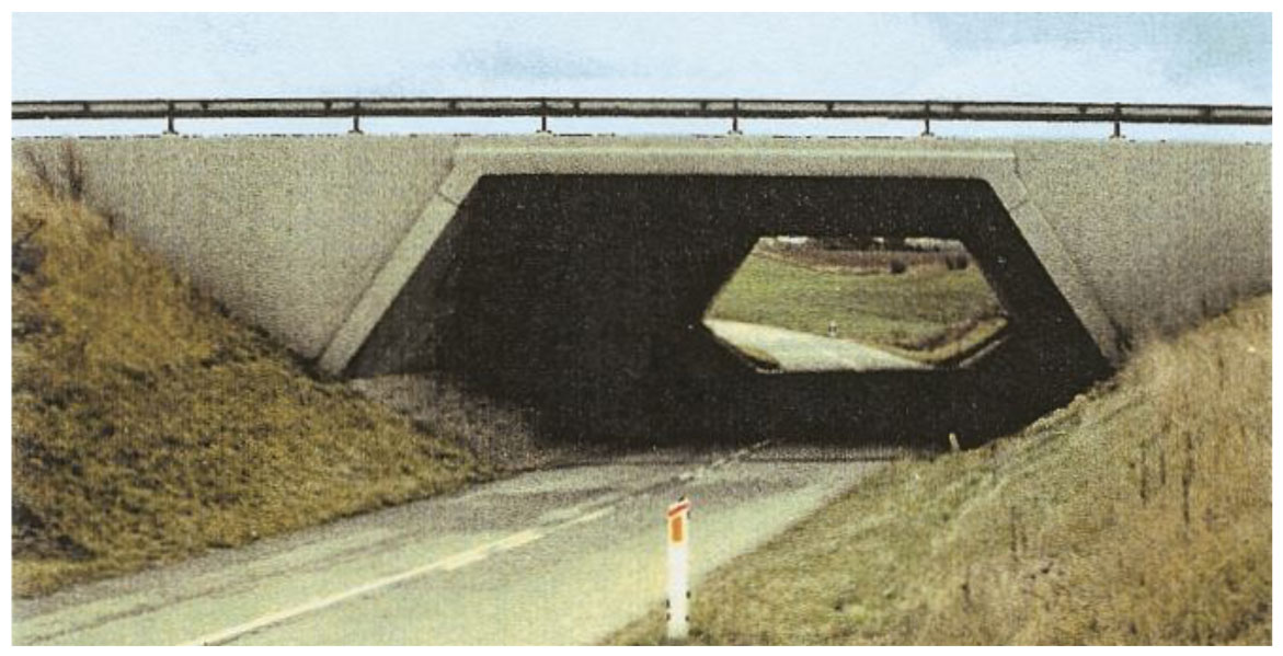 Fig 10: Imagen de una de las estructuras en 1994