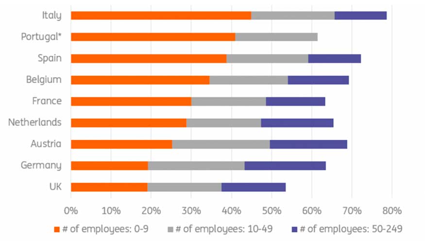 Fuente: Eurostat 2016 * datos para empresas entre 50-249 trabajadores no estn disponibles