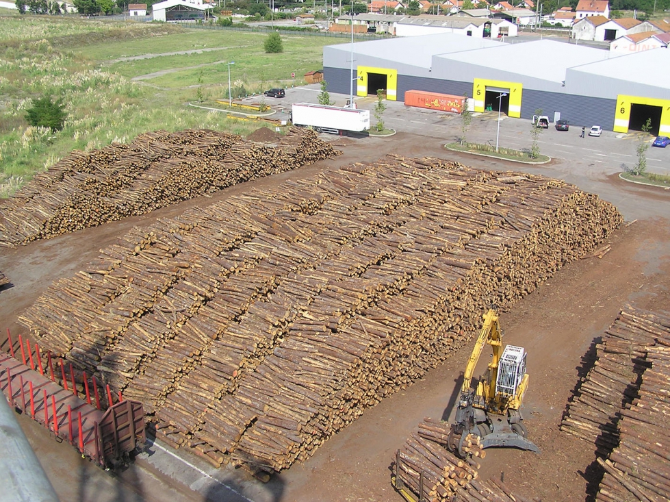 La terminal de Saint Bernard ofrece un servicio logstico multimodal para la madera