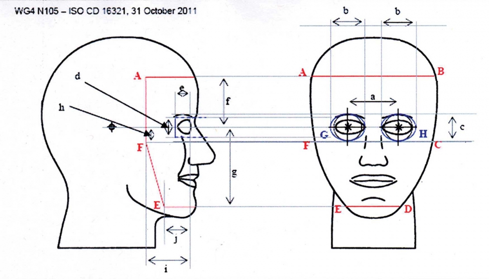 Figura 4: Dibujo de la cabeza de pruebas indicando las reas protegidas por los visores faciales y oculares