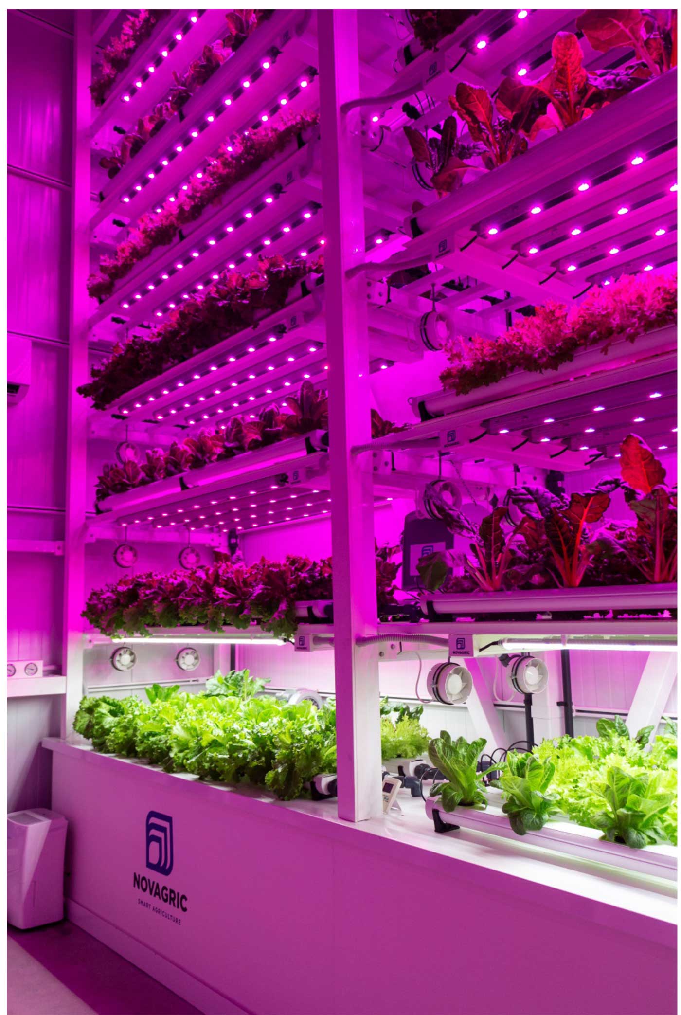 Mdulo de Agricultura Vertical con cultivos sin suelo NFT e iluminacin LED desarrollado por NOVAGRIC