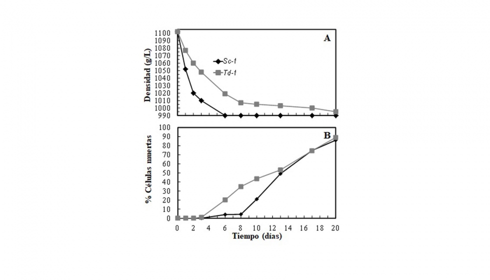 Figura 3. Cintica de fermentacin (A) y porcentaje de clulas muertas (B) de un mosto de uva Garnacha inoculado con S. cerevisiae (Sc) y T...