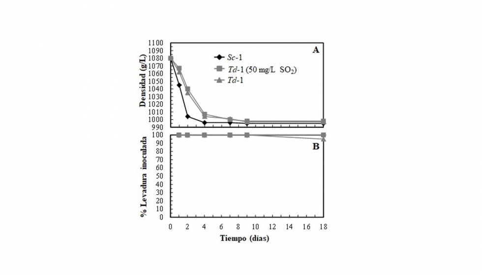 Figura 4. Cintica de fermentacin (A) y porcentaje de la levadura inoculada (B) de mosto de uva Pinot Noir inoculado con S. cerevisiae (Sc) y T...