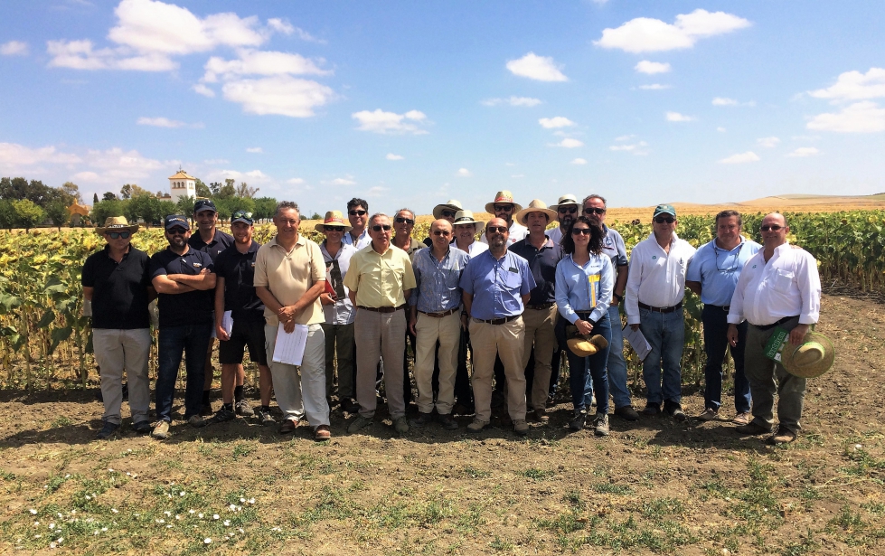 Representantes y t�cnicos participantes en el ensayo de fertilizaci�n del girasol