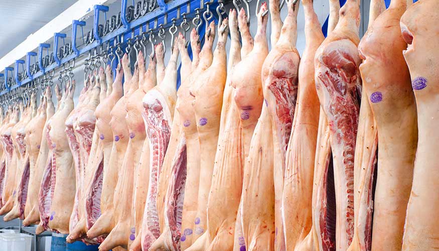 En 2019 se exportaron 663.892 toneladas de carne de porcino, por valor de 1.441...