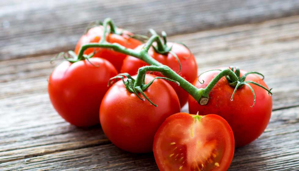 Durante el estudio se analizaron un total de 144 extractos de tomate ecológico de la variedad Delyca bajo dos condiciones diferente de sombreo...
