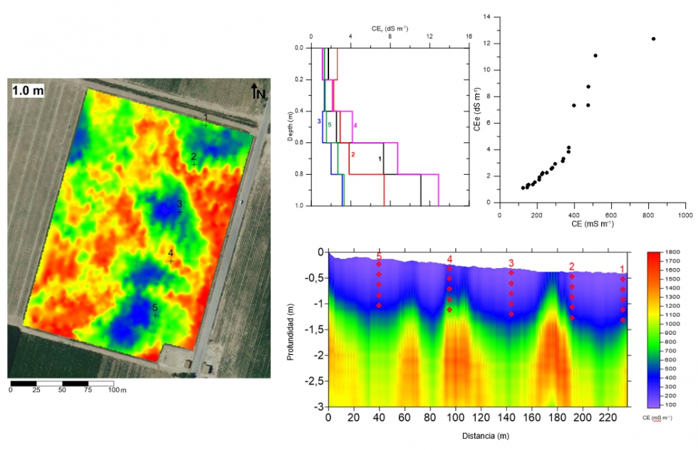 Figura 1. Mapas de conductividad el�ctrica aparente del suelo (CEa) de una parcela experimental de tomate para industria-Bajo Guadalquivir...