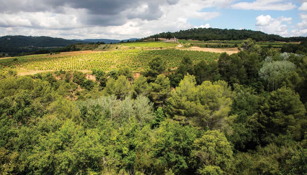 La Bodega trabaja con el programa de los Acuerdos Voluntarios de la Generalidad que pretende reducir la huella de Carbono del territorio...