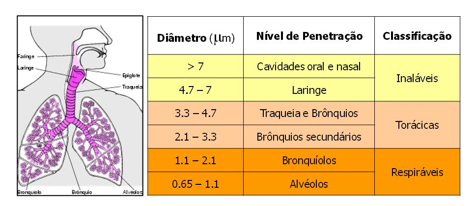 Figura 2. Classificao das partculas em funo do nvel de penetrao no sistema respiratrio
