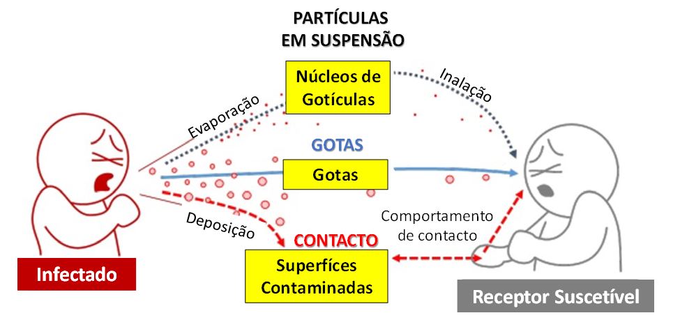 Figura 6...