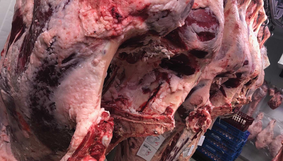 El proceso mantiene la calidad de la carne e incrementa su vida �til a trav�s de una congelaci�n inferior a -40 �C con nitr�geno l�quido...