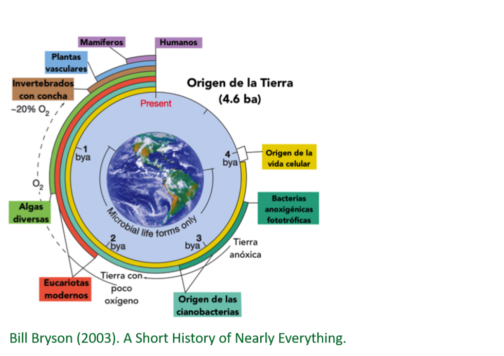 Figura 1. Historia de la Tierra en 24h
