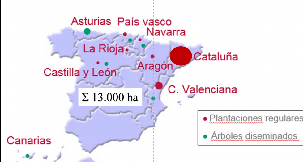 Figura 6...