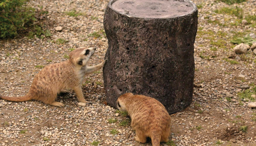 Los animales del zoolgico de Cincinnati se interesan por los alimentadores metlicos de grillos impresos en 3D. Foto: Zoolgico de Cincinnati...