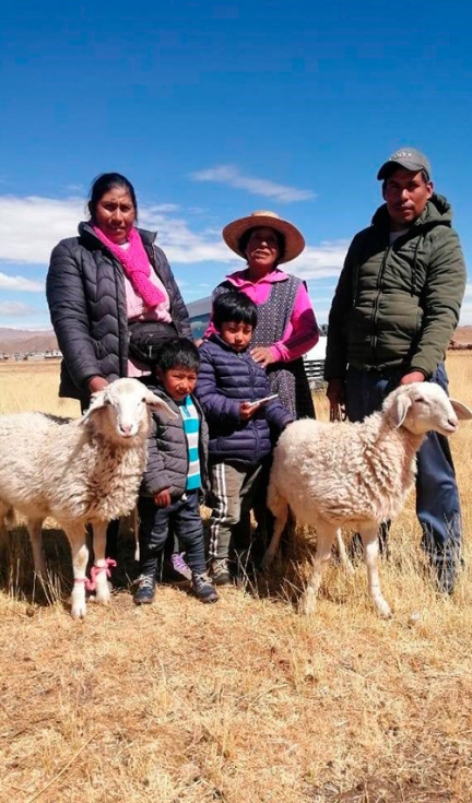 Familia peruana ganadera con ejemplares de la raza Assaf