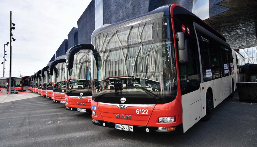 Los 105 nuevos autobuses de TMB fabricados por MAN son hbridos y de gas natural. Foto: Pep Herrero (TMB)