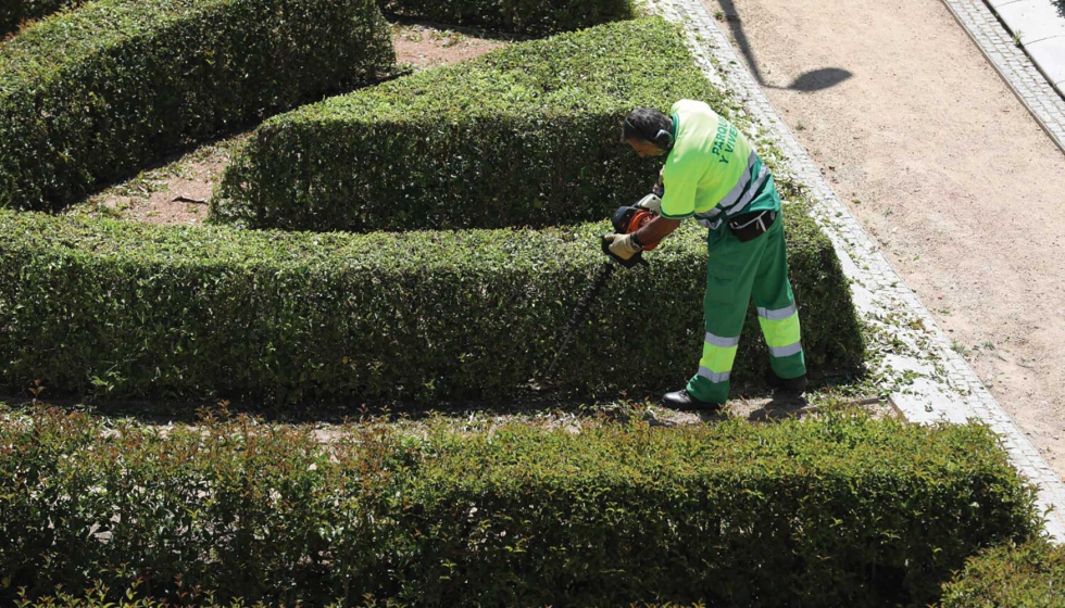 El plan de refuerzo para la recuperacin de zonas verdes representa la primera campaa que pone en marcha el Ayuntamiento de Madrid a lo largo de su...