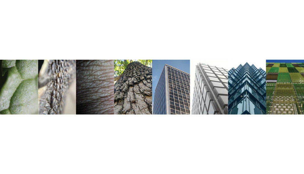 Figura 1: Similitudes entre la fachada de los edificios y la piel animal y vegetal. Fuente: fotografas tomadas por el autor...