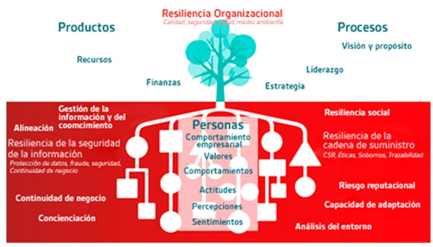 Analoga del rbol aplicada a la resiliencia organizacional