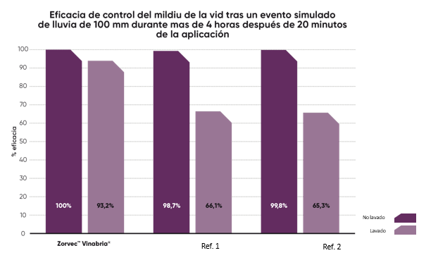 Figura 4