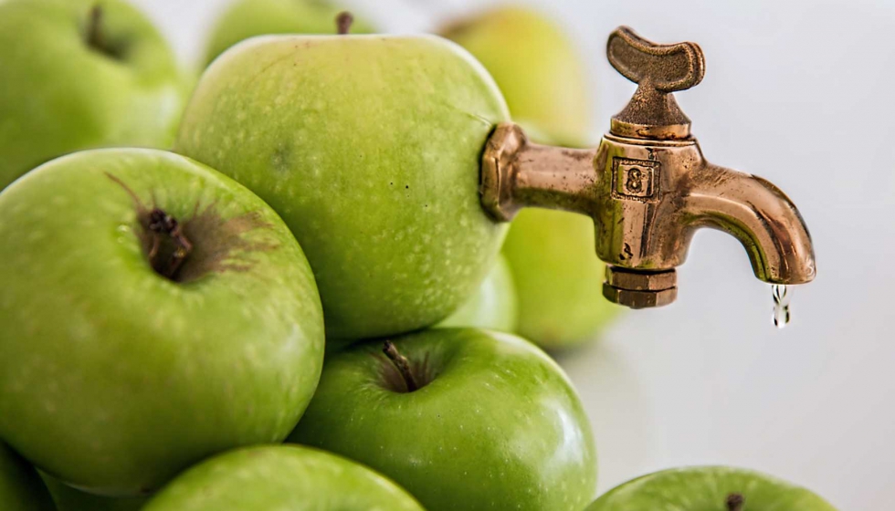Hasta el 30% de la manzana puede ser desechado en la produccin de zumon. Foto: Steve Buissine