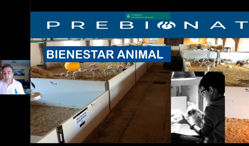 Alberto Garca Tors incidi en el bienestar animal en su ponencia del Foro Ovino
