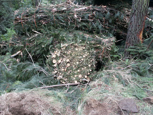 Una paca de biomasa