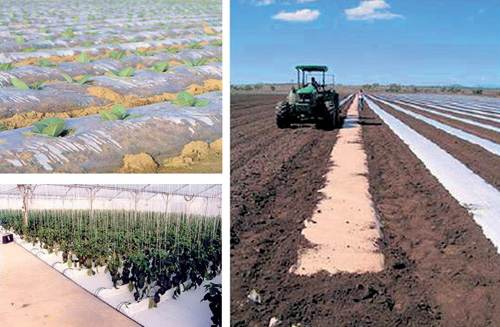 Las principales aplicaciones del plstico en la agricultura se encuentran en invernaderos, tneles, acolchados, mallas de sombreo...