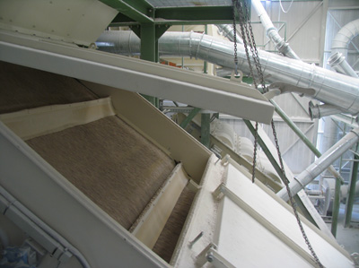 Criba Rhewum trabajando en primer plano