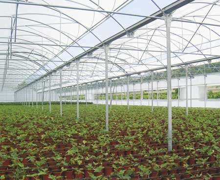 The Conference sought to topics such as thermal control and durability of the greenhouse film