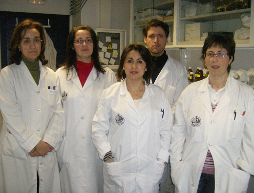 Grupo de investigacin de la UJa dirigido por Mara Pilar Cordovilla Palomares
