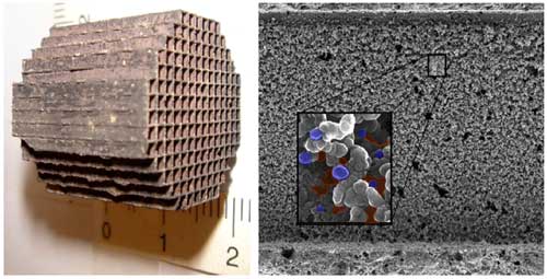 Figura 4. Vista del catalizador (izquierda) e imagen de microscopio electrnico donde se observa su porosidad...