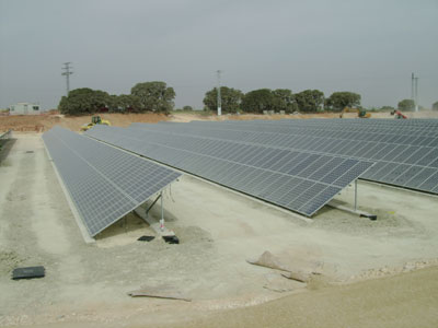 Martifer Solar plantar ms de 9.300 rboles y especies para reforestar sus plantas solares fotovoltaicas