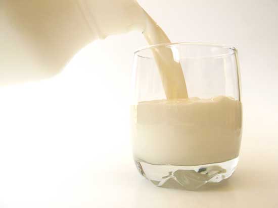 El 60% de toda la leche de vaca recogida en Espaa se destina a la elaboracin de leche lquida envasada. Foto: Zsuzsanna Kilin...