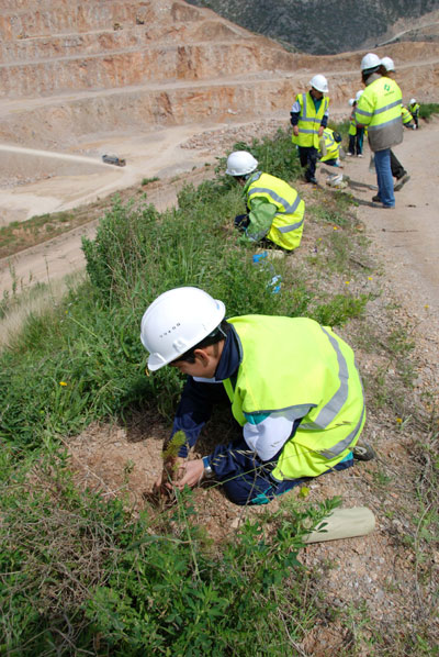 Schoolchildren have been planted each of them a tree to contribute to the restoration of already exploited areas carried out by the Catalan quarries...