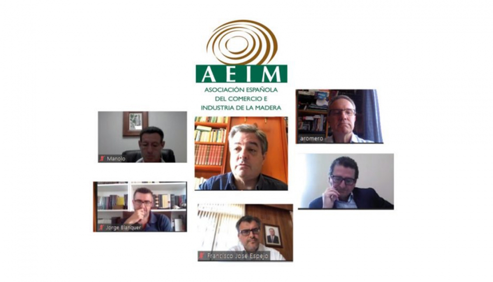 Instantnea de la reunin online de la Junta Directiva de Aeim