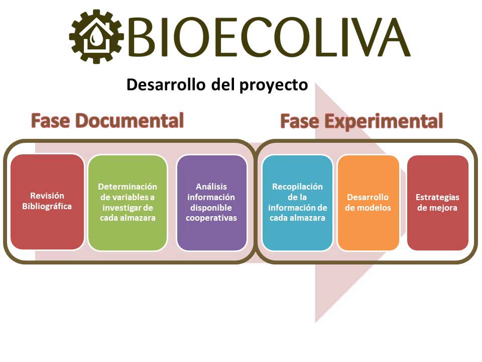 Figura 2. Esquema del desarrollo del proyecto Bioecoliva