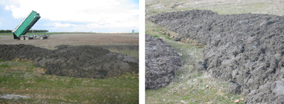 Example of mismanaged sludge dumped on the ground without decontaminate