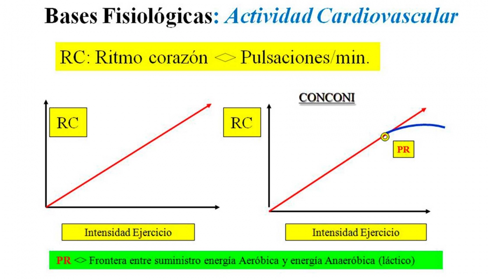 Figura 3: Curvas relativas al ritmo cardaco (RC) segn la intensidad del ejercicio que se efecta...