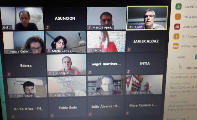 Participantes en la jornada virtual organizada por INTIA
