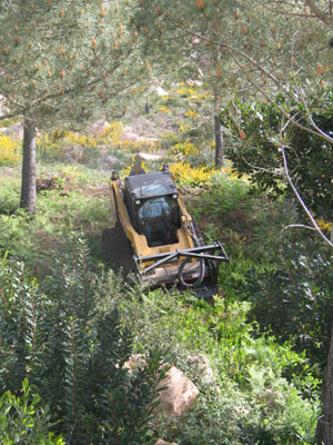 Un minicargadora todoterreno Caterpillar 277C, con una desbrozadora forestal, colabor en la plantacin de 200 rboles en la sierra de Sintra...