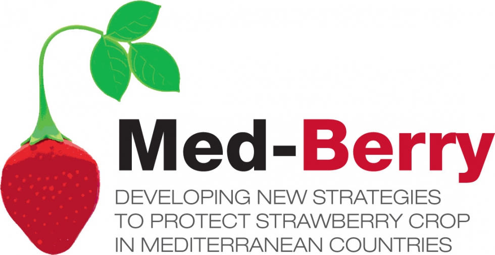 El proyecto MED-BERRY, que concluir en 2022, obtendr los primeros resultados concluyentes a partir del prximo ao