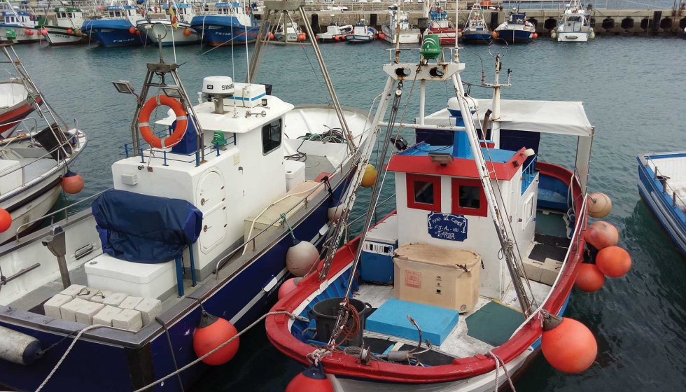 Flota pesquera amarrada en el puerto de Tarifa