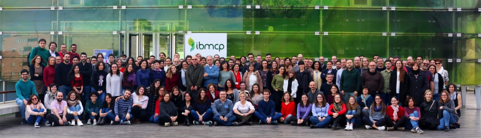 Foto del equipo que forma el Instituto de Biologa Molecular y Celular de Plantas (IBMCP) con sede en Valencia